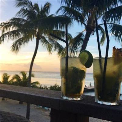 波胆app官网app下载